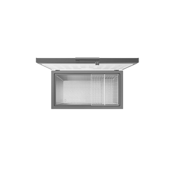 Samsung 287L Chest Freezer (RI70F29V1G/AGH)