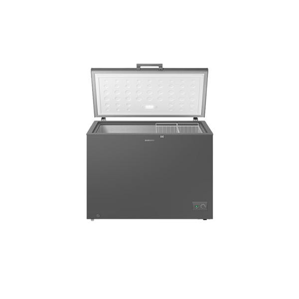 Samsung 287L Chest Freezer (RI70F29V1G/AGH)