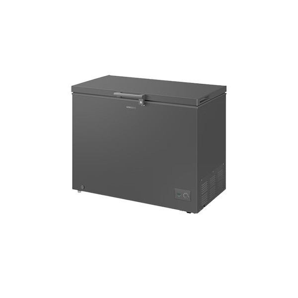 Samsung 287L Chest Freezer (RI70F29V1G/AGH)